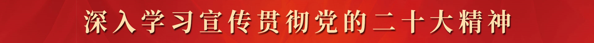 深入學習宣傳貫徹黨的二十大精神